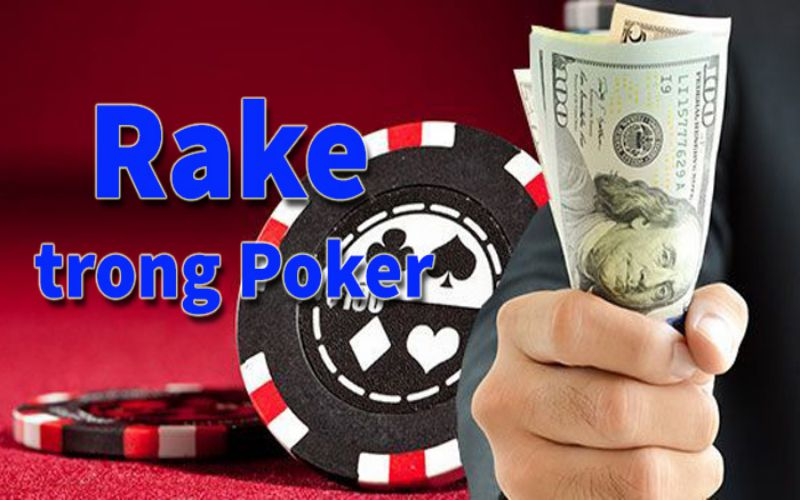 Giải đáp sơ qua về thắc mắc Rake là gì trong Poker